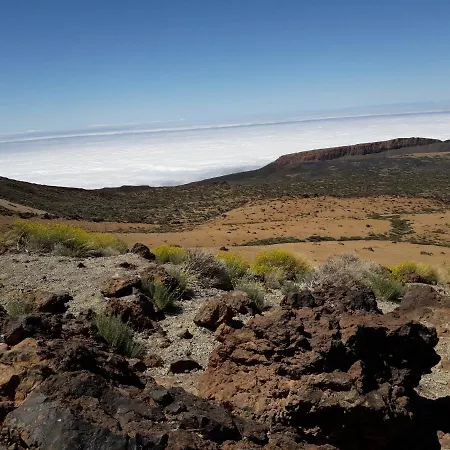 Апартаменты Cosy On Rooftop *