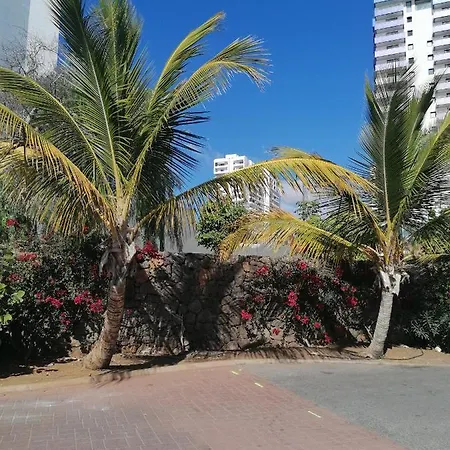Cosy On Rooftop Apartment Playa Paraiso (Tenerife)