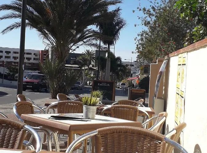 Cosy On Rooftop Appartement Playa Paraiso (Tenerife)