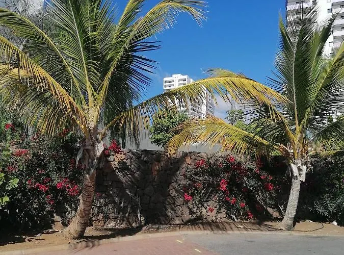 Cosy On Rooftop Apartamento Playa Paraiso (Tenerife)